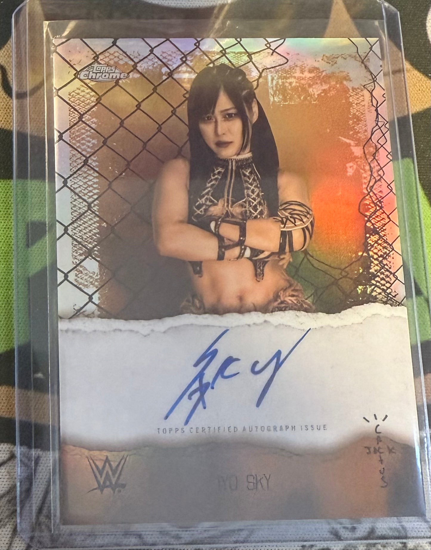 Wrestling Singles Trading Cards